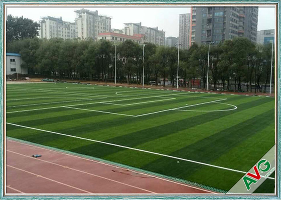 중국 PE 연약한 좋은 반동 탄력 인공적인 축구 뗏장 우수한 UV 저항 협력 업체