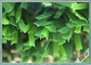 W 모양 옥외 합성 잔디/인조적인 잔디 물결치는 표면 12800 Dtex 협력 업체