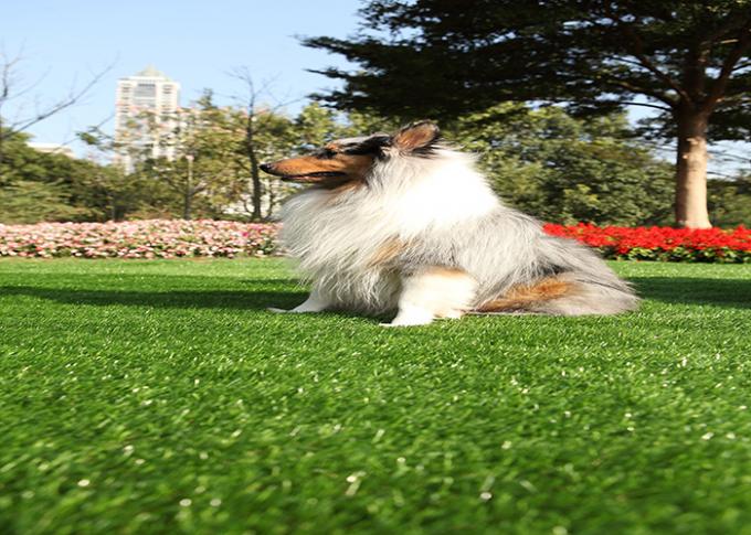 방수 조경 정원 애완 동물 인공적인 뗏장 가짜 잔디 양탄자 긴 수명 0