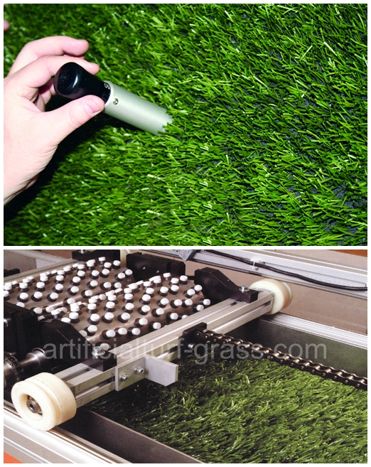 All Victory Grass (Guangzhou) Co., Ltd 품질 관리 0
