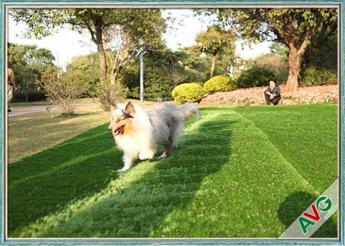 SBR 유액/PU 역행 애완 동물 인공적인 뗏장 에덴 잔디는 합성 애완 동물 잔디를 재생했습니다 0