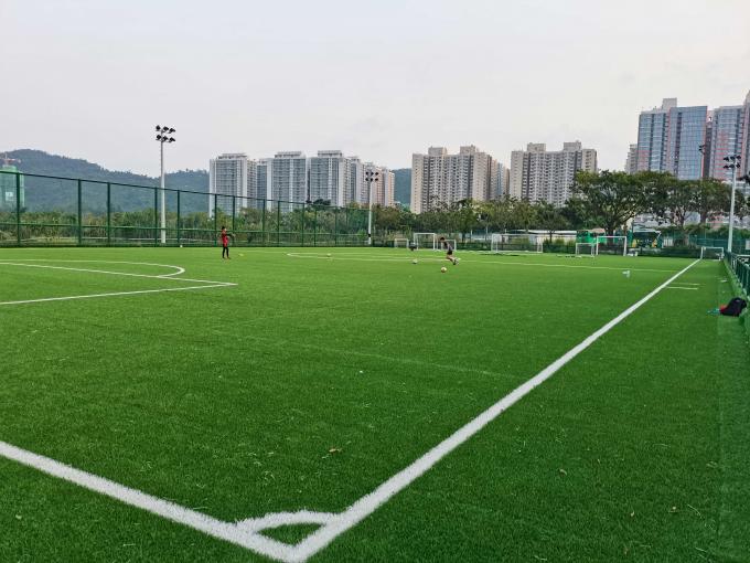 공장도 가격 55 밀리미터와 직업 체스페드 인공 먹이풀 축구 잔디 0