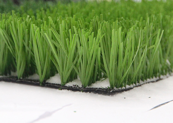 중국 스포츠, 축구장 인공적인 뗏장을 위한 Monofil PE 털실 녹색 인공적인 잔디 제조자 협력 업체