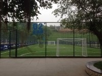 중국 축구장, 축구 합성 잔디를 위한 고밀도 인공적인 뗏장 협력 업체
