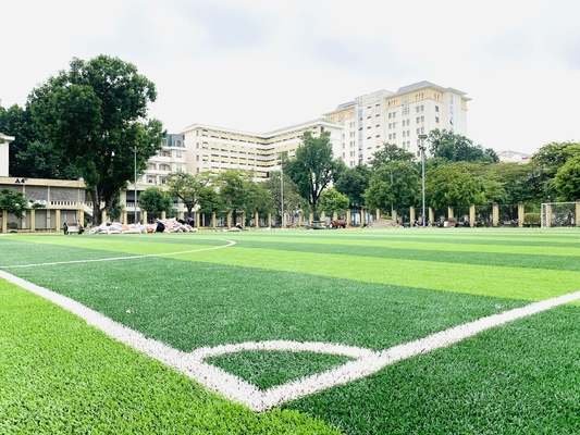 중국 55 밀리미터 야구 축구장 잔디 종합적 축구 그린 인조 잔디 협력 업체