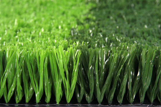중국 60 밀리미터 FIFA는 축구 축구 인공 먹이풀 잔디 카펫을 승인했습니다 협력 업체
