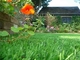 장식용 녹색 재상할 수 있는 정원 인공적인 잔디, 가정 인공적인 뗏장 협력 업체