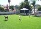 현대 배경 가정 애완 동물 인조 잔디, 애완 동물 놀기를 위한 녹색 합성 잔디 협력 업체