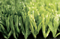 정원 운동장 인공적인 퍼팅 잔디, 운동장을 위한 Apple 녹색 인공적인 뗏장 협력 업체