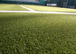 곱슬 스포츠 바닥재 하키 컬러 인조 잔디 가짜 카펫 잔디 협력 업체